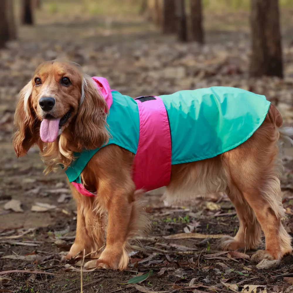 Splash Waterproof Dog Raincoat Aqua-Pink