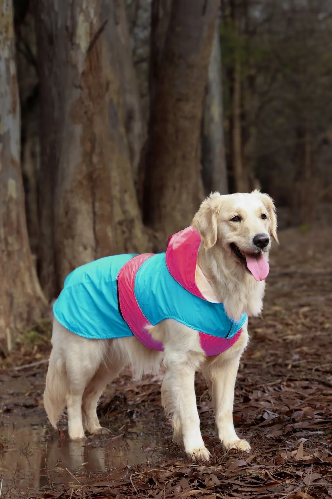 Splash Waterproof Dog Raincoat Aqua-Pink